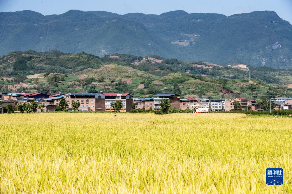 糖果派对试玩在哪里